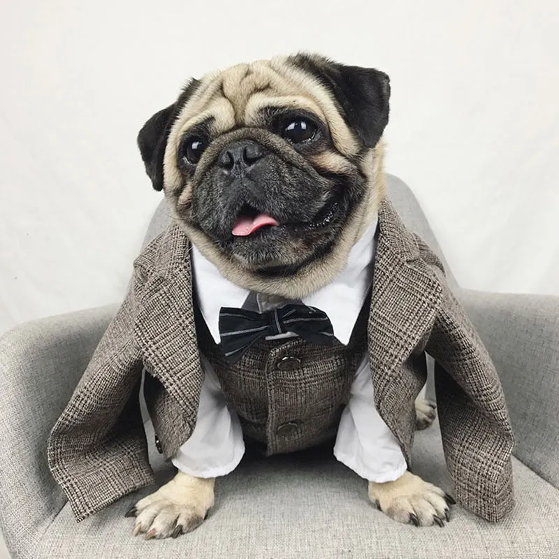 Gentleman Dog Suit Vest