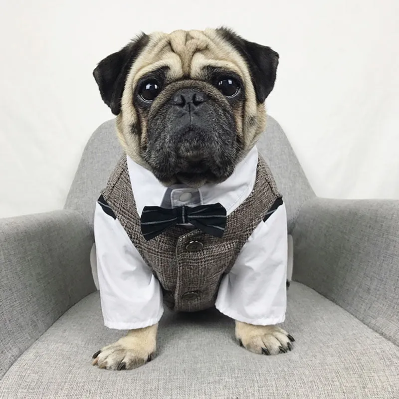 Gentleman Dog Suit Vest