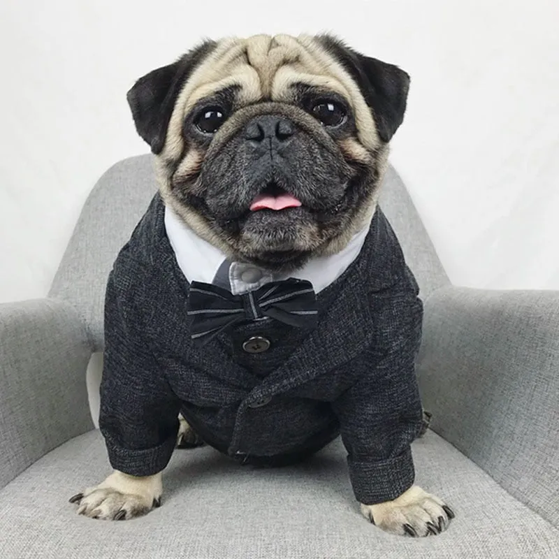 Gentleman Dog Suit Vest