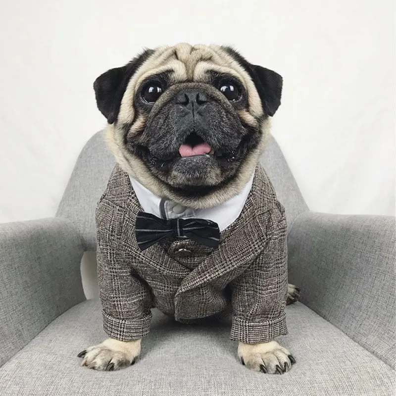 Gentleman Dog Suit Vest