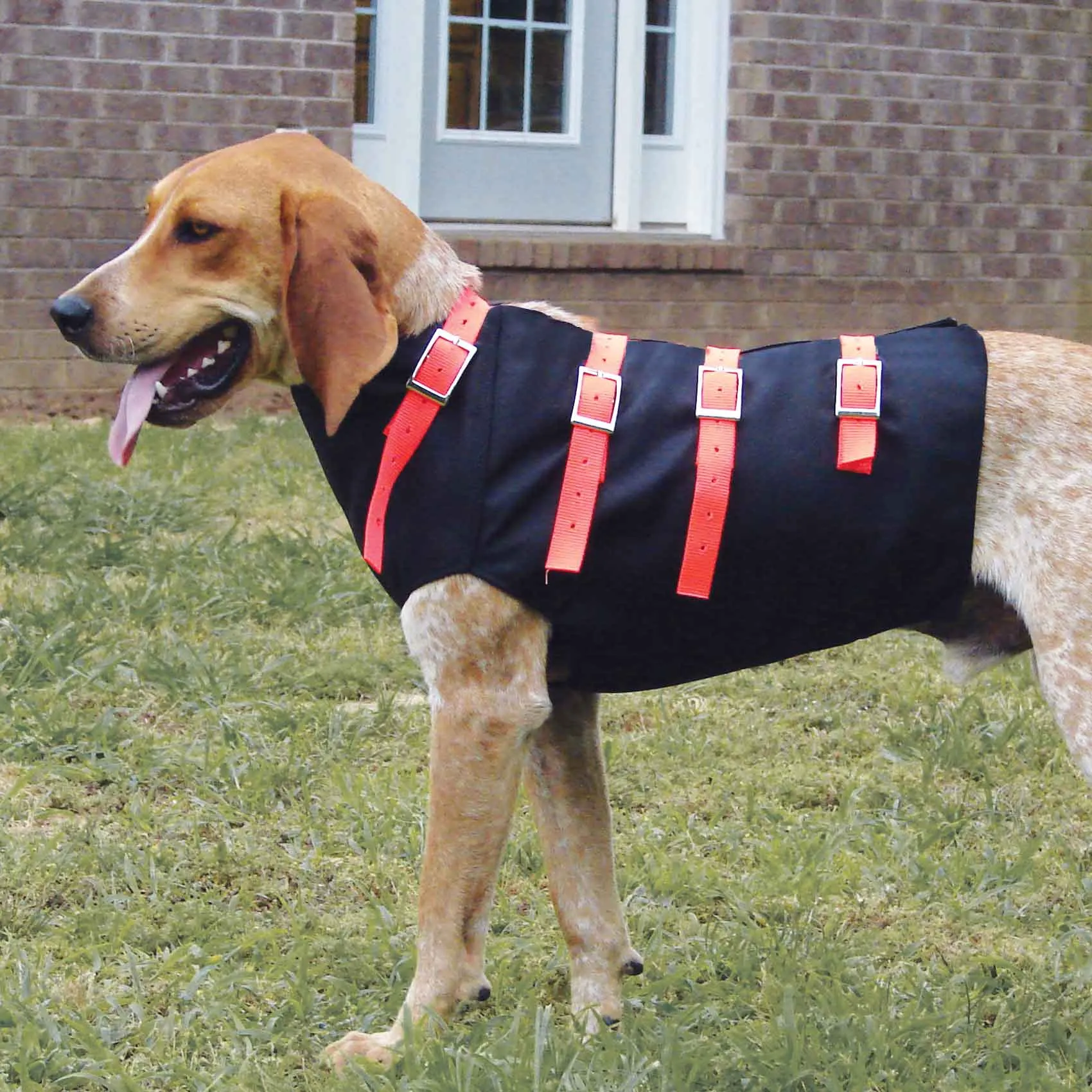 Nite Lite Premium Hog Bay Dog Cut Vest