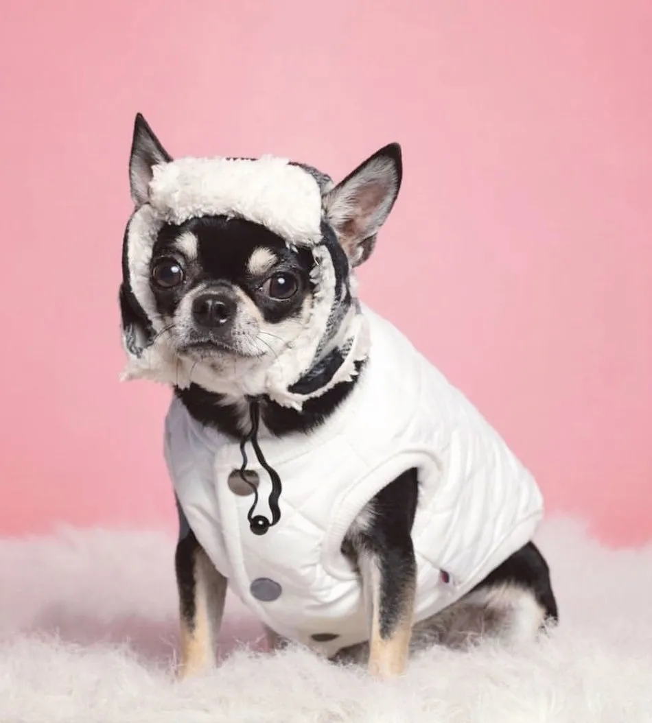 Padded Luxe Dog Vest - White